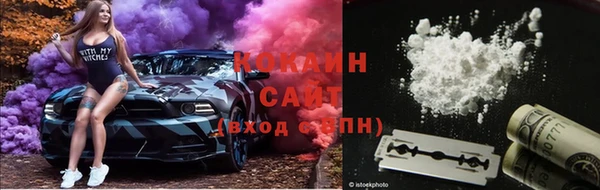 ешки Алзамай