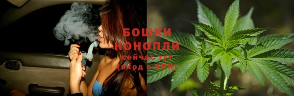 ешки Алзамай