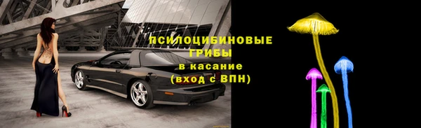 дурь Алексеевка