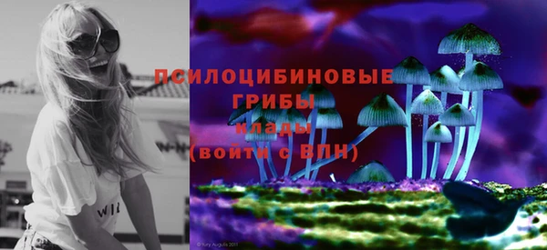 дурь Алексеевка