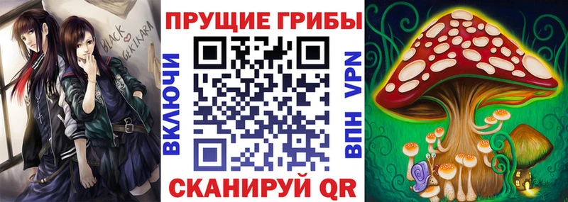 ссылка на мегу онион  Лениногорск  Галлюциногенные грибы прущие грибы 